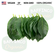 Load image into Gallery viewer, Fresh Organic Jackfruit Leaves