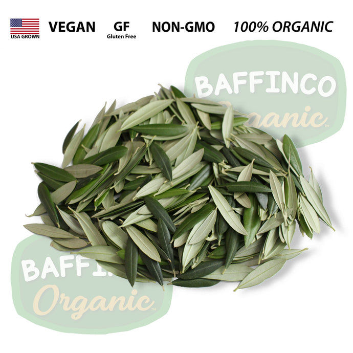 Fresh Organic Olive Leaves