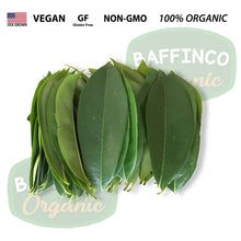 Load image into Gallery viewer, Fresh Organic SourSop Leaves
