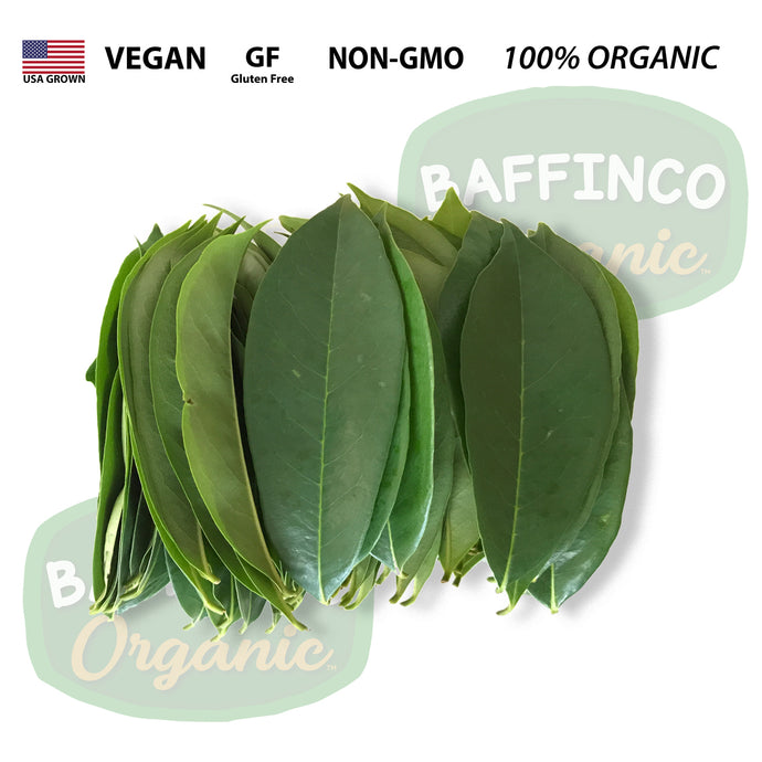 Fresh Organic SourSop Leaves