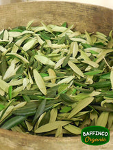 Load image into Gallery viewer, Fresh Organic Olive Leaves